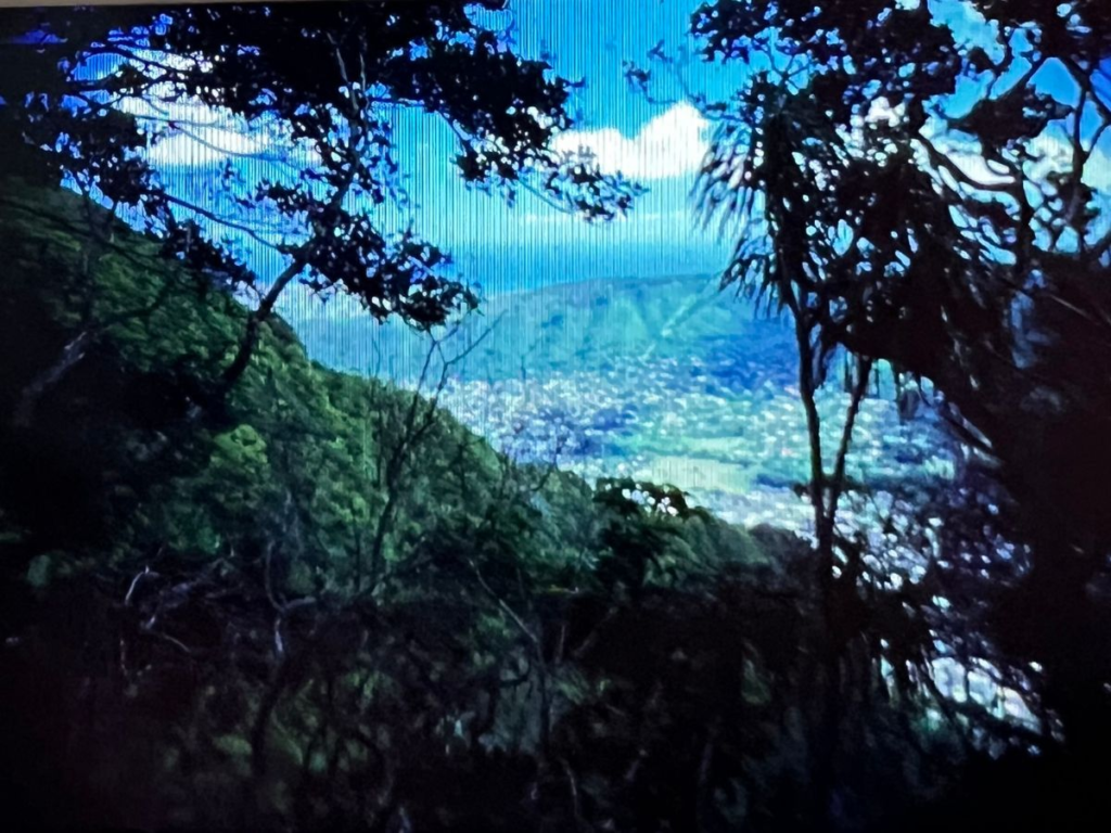 View from my hike on Oahu Scared but doing it anyways
